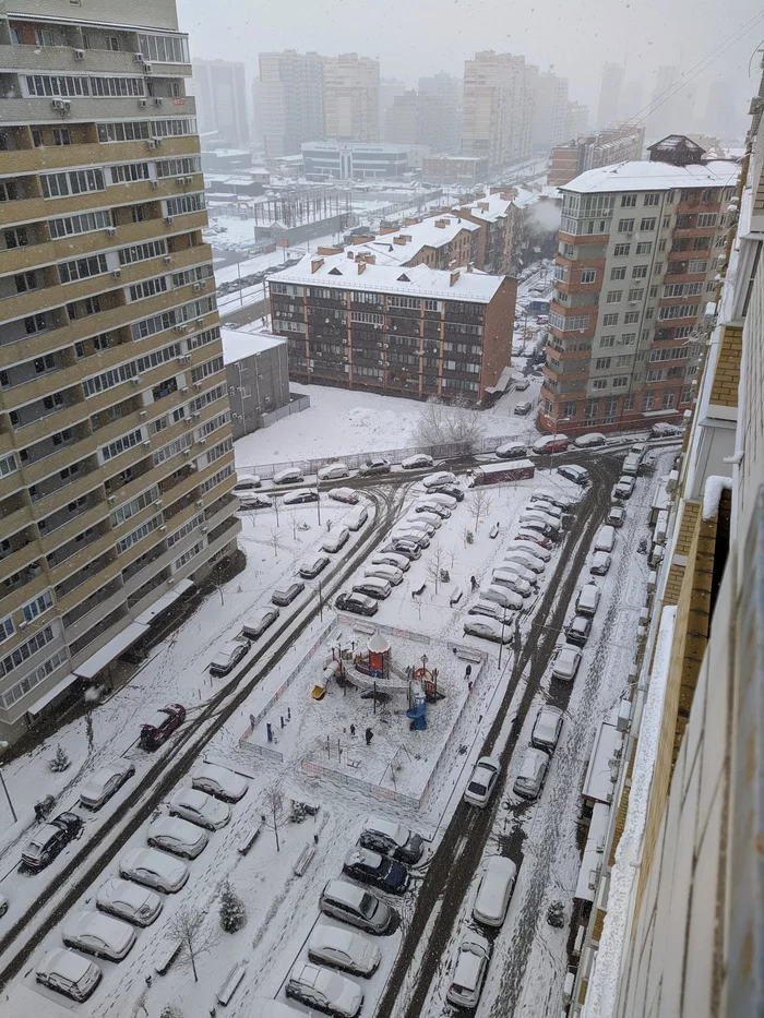 Spring in winter, winter in spring... - My, Weather, Krasnodar, Longpost
