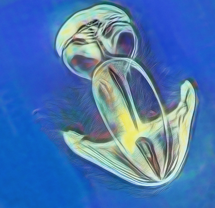   , , ,  