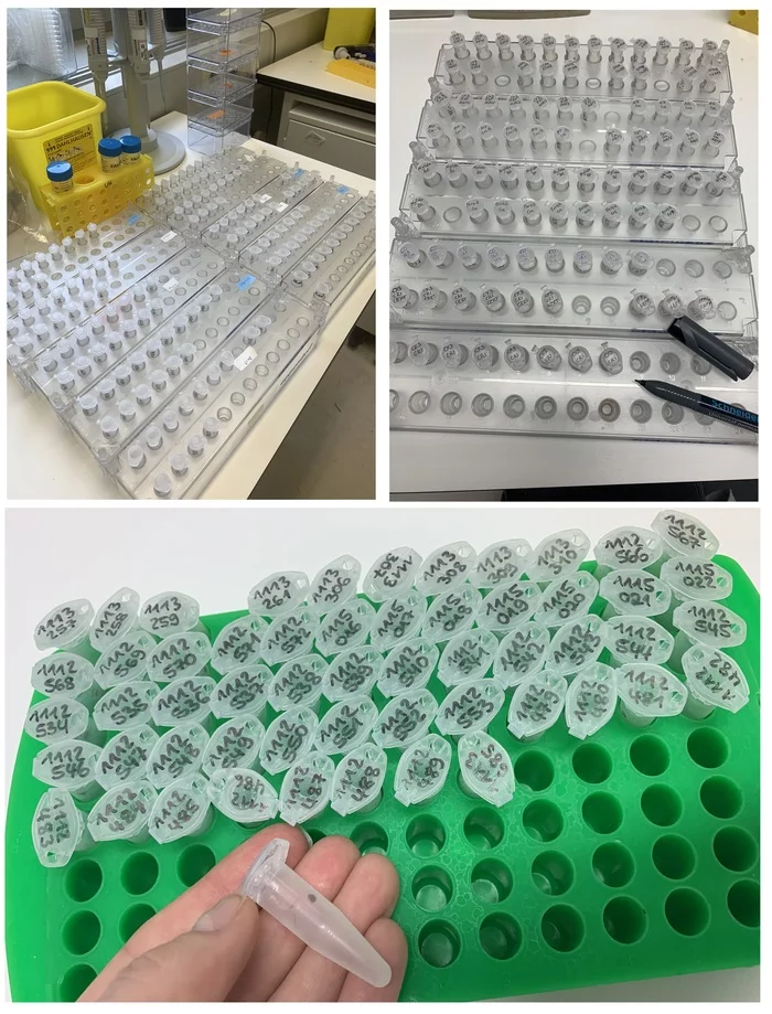 PCR: how it's done. Part 1 - My, PCR, Biology, Laboratory, The science, How is it done, Work, Longpost