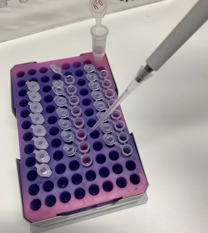 PCR: how it's done. Part 1 - My, PCR, Biology, Laboratory, The science, How is it done, Work, Longpost