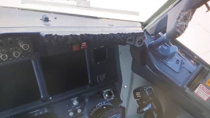 Кот в кабине Авиация, Кот, Boeing 737, Длиннопост