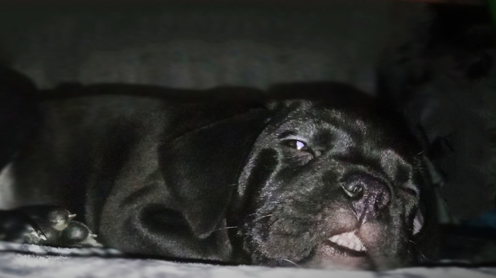 ����� � �����