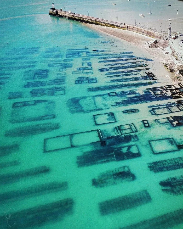 Oyster farms. Cancale. Brittany, France - Brittany, France, Oysters, English Channel, Seafood