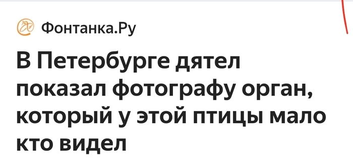 ������ ���������