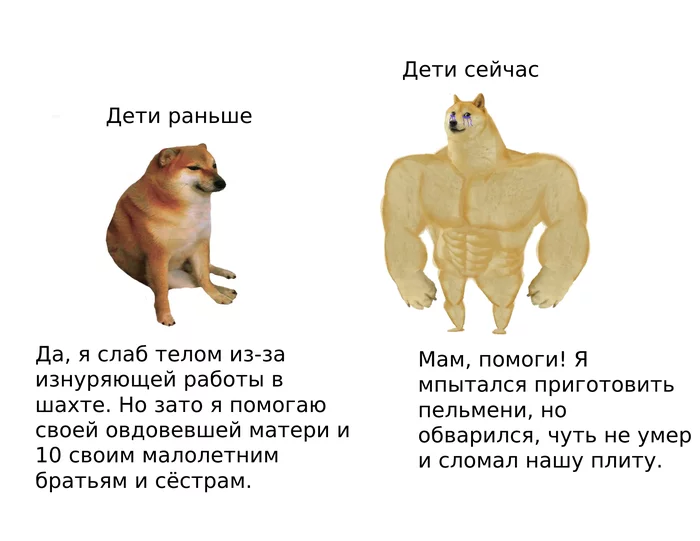 Now and before - Doge, Dog, Humor, Images, Memes