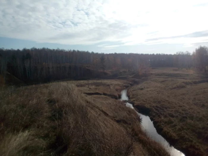 About beavers - My, Beavers, Poachers, Nature, Fools, Longpost