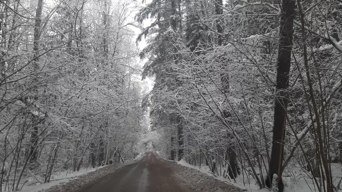 Зима радует пейзажами - Моё, Природа, Зима, Красота природы