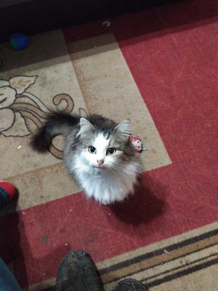 ��� ����� ������ ����� �� ����, ��� � ������. ��� ����� :)