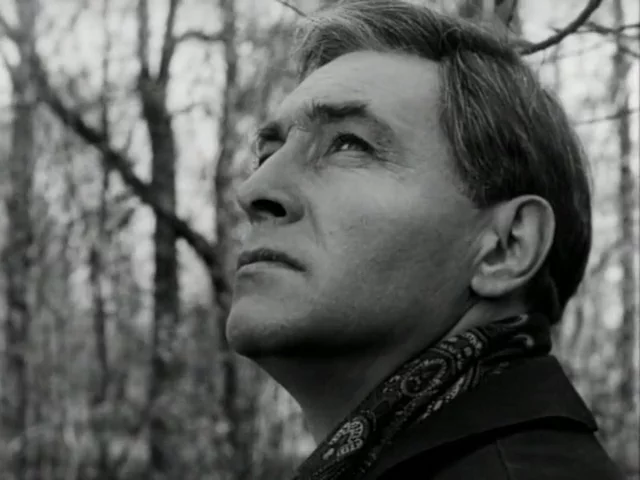 February 8 is the birthday of Vyacheslav Tikhonov - My, Movies, the USSR, Actors and actresses, Vyacheslav Tikhonov, Celebrities