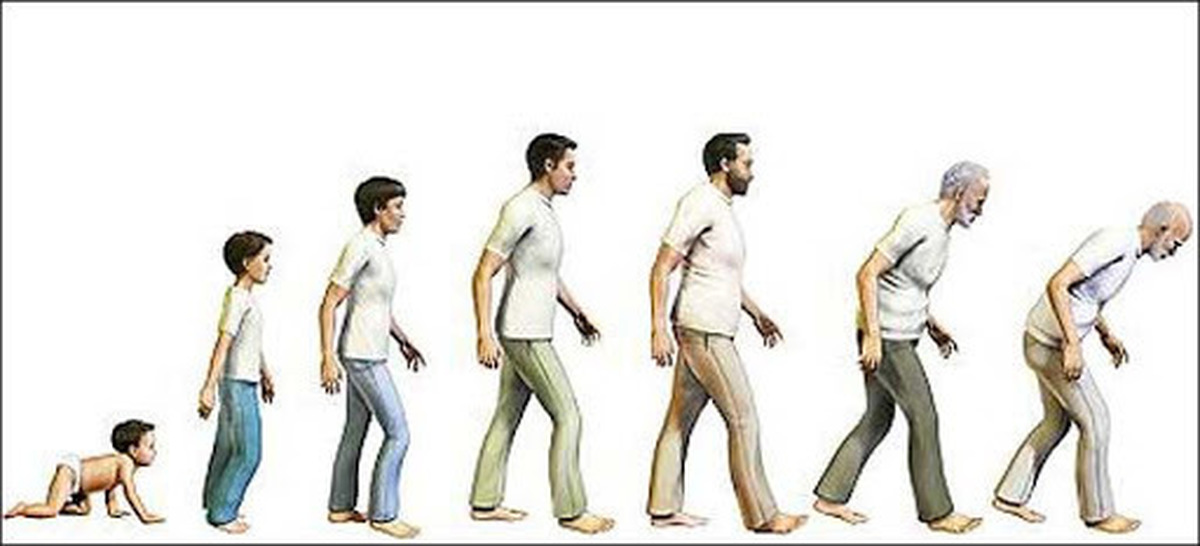 Стадии жизни. Человек от рождения до смерти. Процесс роста человека. Этапы жизни. От ребенка до старика.