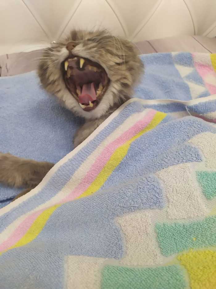 ����, ���������?!!!