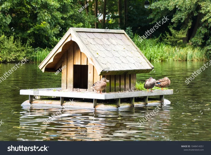 Что это за штука - 121 Перевел сам, Reddit, WhatIsThisThing, Видео, Длиннопост