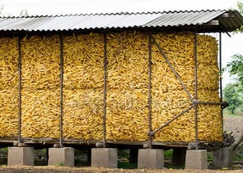 Что это за штука - 121 Перевел сам, Reddit, WhatIsThisThing, Видео, Длиннопост