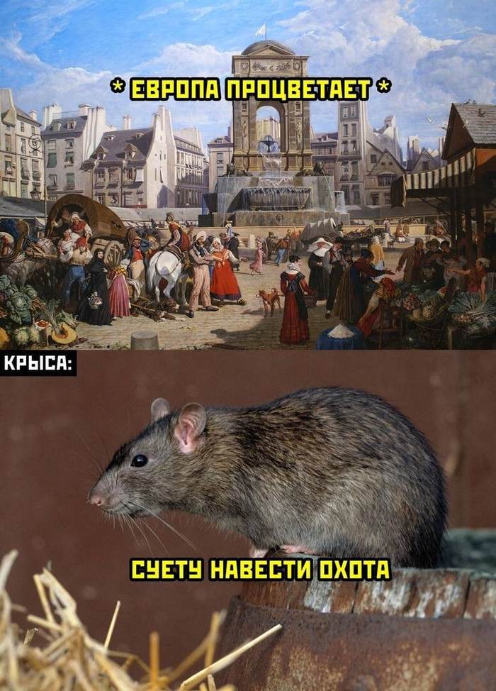 ����� ������� �����...
