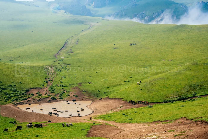 Heart of the Mountains - My, Ingushetia, Caucasus, Russia, Travels, The national geographic, Travel across Russia, wildlife, Nature, The photo, Landscape