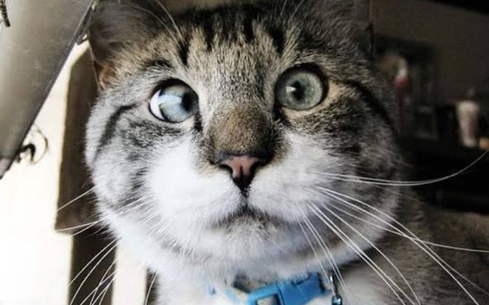 ��� ������ ���?