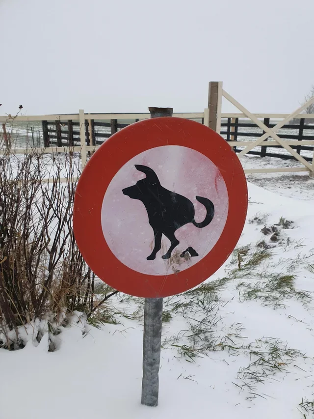 'This strange sign in my Dutch town indicates that dogs and horses are not allowed to poop here' - Signs, Prohibitory mark