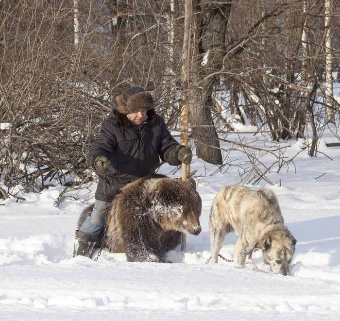 Once upon a time in Russia - Bashkortostan, The Bears, Circus, Walk in the woods