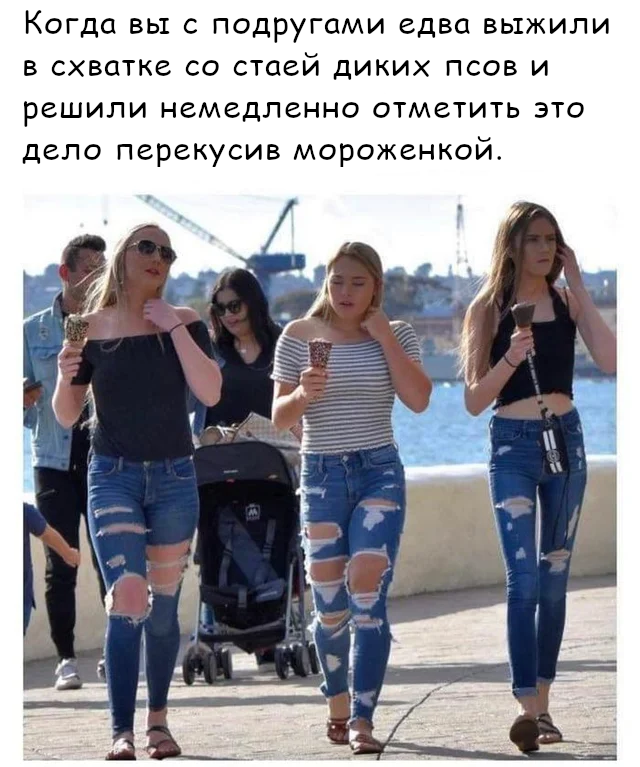 The girls got it - Memes, Reddit, Translation