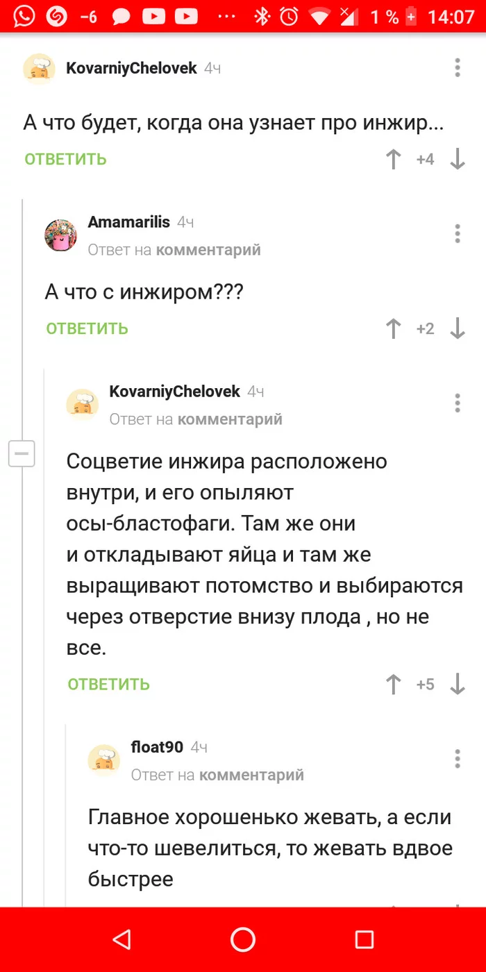 Такой вот инжир - Инжир, Комментарии на Пикабу, Оса, Личинка, Опыление, Юмор, Скриншот