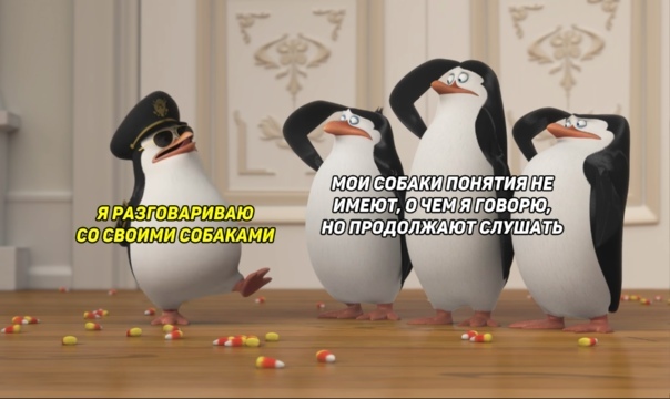 About conversations - Talk, Dogs and people, Dog, Pets, Picture with text, Memes, Humor, Pinguins from Madagascar