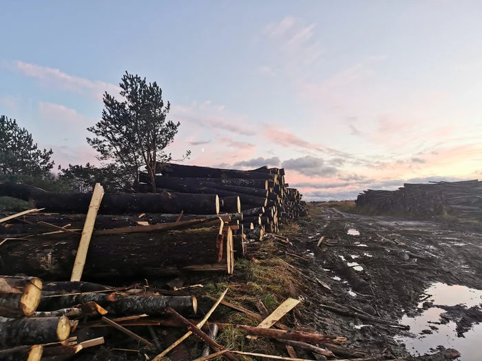 Freedom of speech in Russia. Another harassment of an activist - Ecology, Taiga, Forest, Poachers, Planet, Nature, Kamchatka, freedom of speech, , Land, Longpost, Politics, Russia, North, Oppression