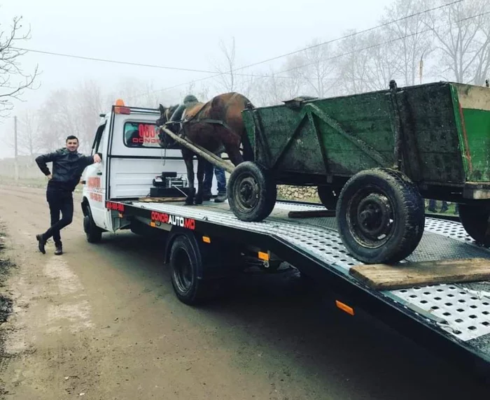 За превышение нормы выброса вредных веществ - Лошади, Гужевой транспорт, Эвакуатор