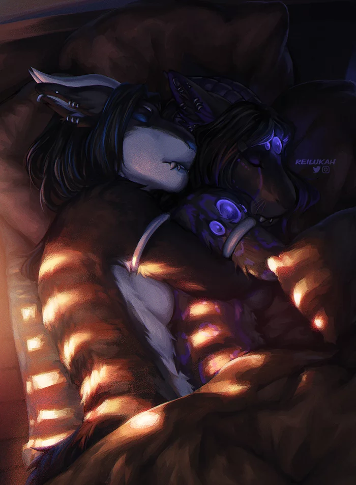 Till the morning light - Furry, Furry art, Furry edge, Hugs, Morning, , Reilukah