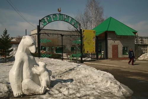 A zoo that is not easy to get into. History of appearance - My, Zoo, Nature, Animals, Tomsk, Seversk, Tomsk region, Children, Feeding, Walk, Amur tiger, Serval, Video, Longpost