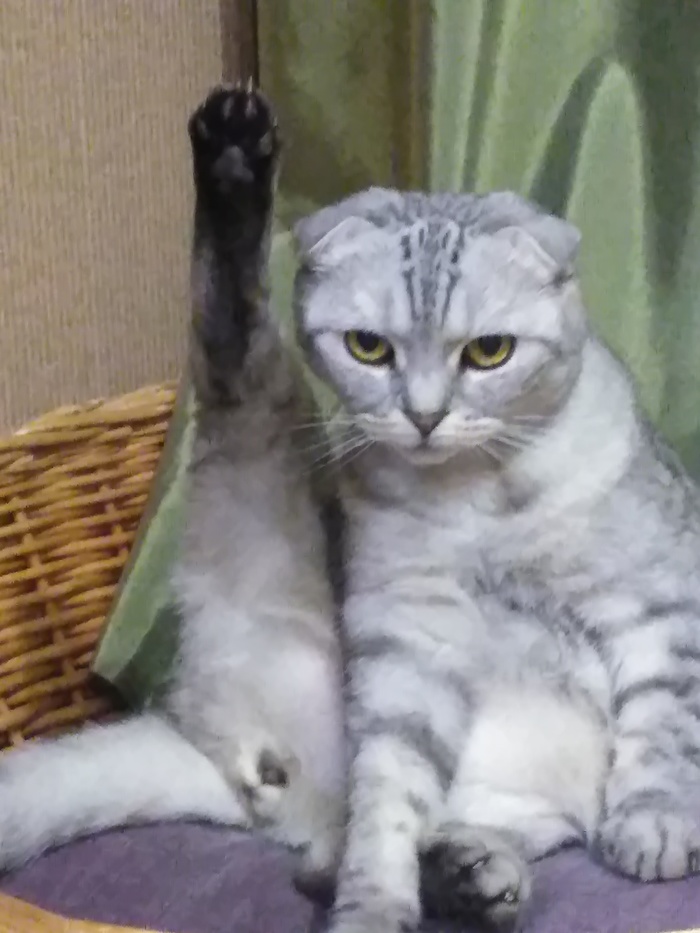 Из Сибири привет! Космос, можно просто Кос . Хай!