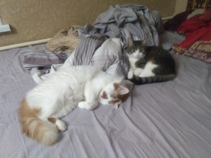 Моё место с краю