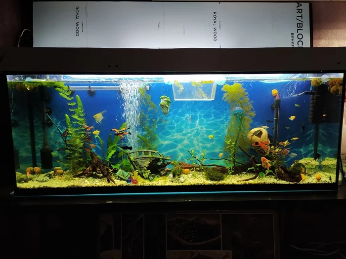 Aquarium lighting - My, Aquarium, Lighting, Diodes, Fluorescent lamp, What to do