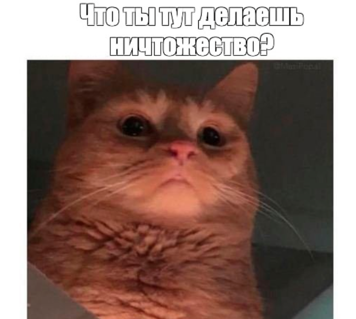 какой язык учить для переезда в швейцарию. 1613214452195688444. какой язык учить для переезда в швейцарию фото. какой язык учить для переезда в швейцарию-1613214452195688444. картинка какой язык учить для переезда в швейцарию. картинка 1613214452195688444.