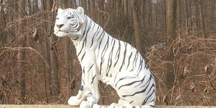 In the United States, police took an intruder tiger to the police station - Tiger, Sculpture, Road fencing, Highway, USA, Maryland, Funny, US police, Big cats, White tiger