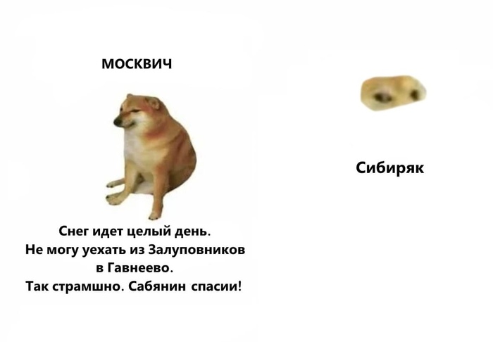 Из Сибири с любовью - Снег, Юмор, Москва, Сибирь, Doge, Мемы