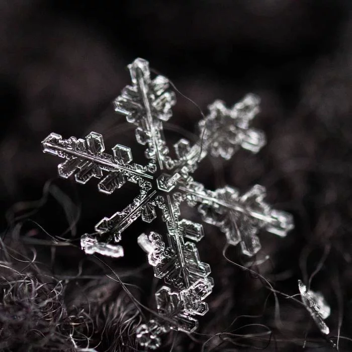 Snowflakes - My, Snowflake, Macro photography, Macro, The photo, Canon, Nature, beauty, Longpost