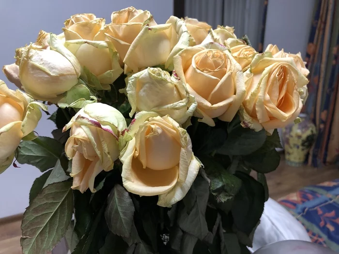 “Flower shop” or how not to do business - My, Kiev, Flower shop, Deception, February 14 - Valentine's Day, Poor quality, Flowers, White roses, Bouquet