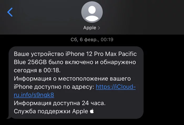 Attempted scam to unlink a stolen apple device from apple id - My, Apple, Apple id, Theft, iPhone, Text, Negative, Mat, Longpost, Deception