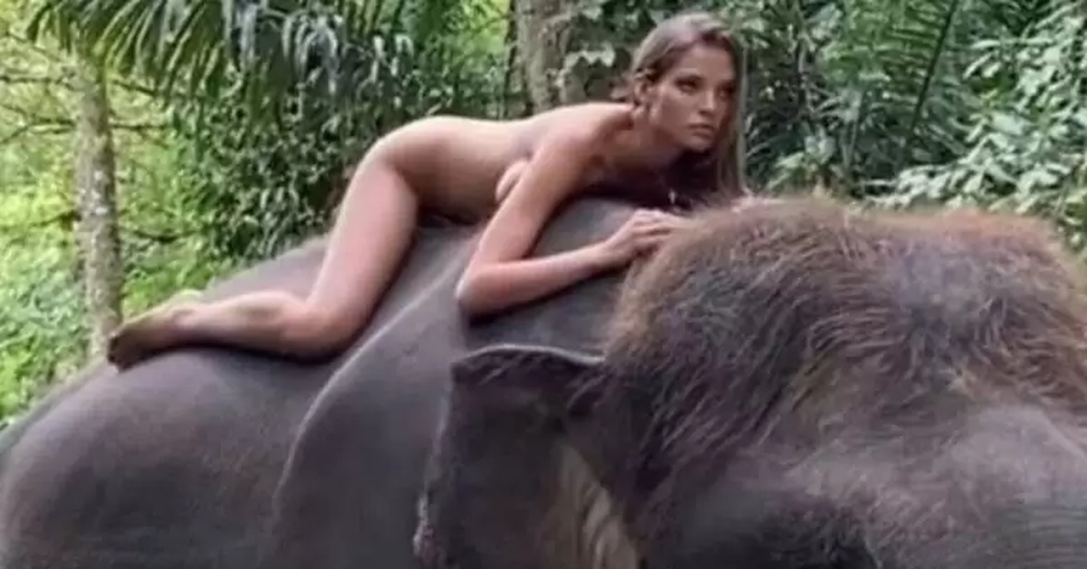 Elephant Girl Sex