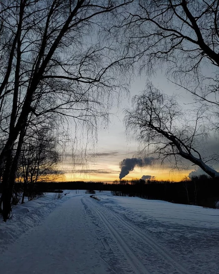 Morning running - My, Morning, Jogging, Forest, The sun, Sunrise, The photo, Snow, Longpost