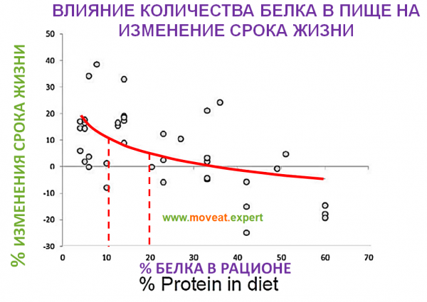 How the wrong balance of proteins, fats and carbohydrates is killing you - Diet, Fats, Carbohydrates, Slimming, Death, Disease, Health, The medicine, Sex, Copy-paste, Longpost, Negative, Protein