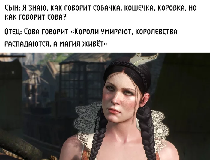 Minus the eyes - Witcher, The Witcher 3: Wild Hunt, The Witcher 2: Assassins Of Kings, Philip Eilhart, Spoiler, Radovid, Owl