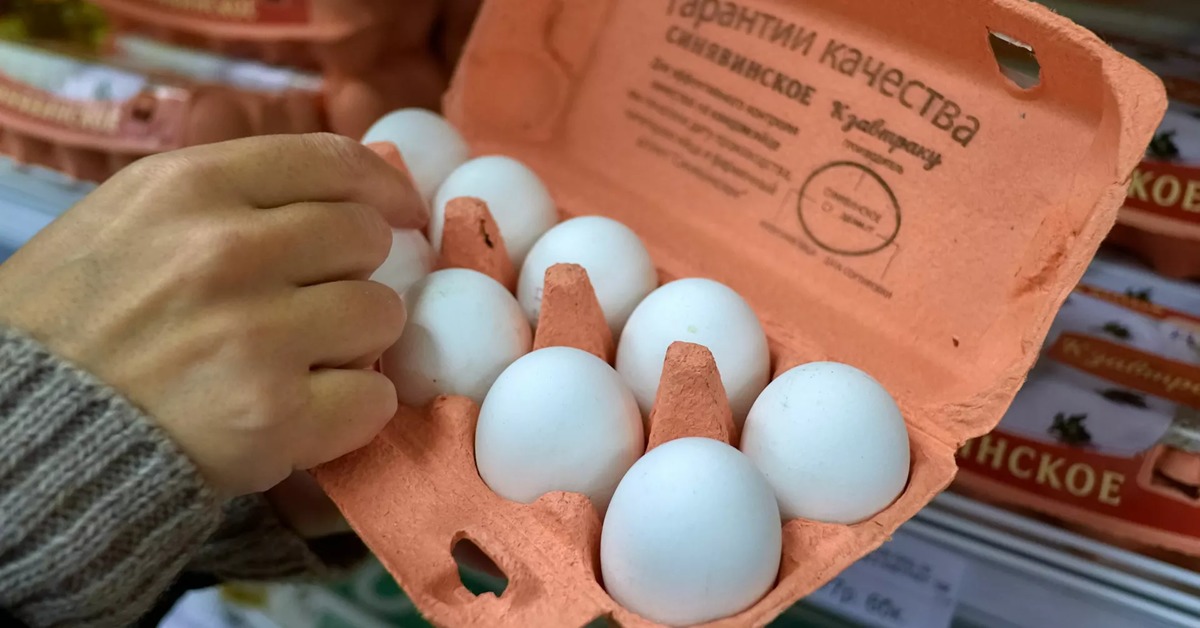 Цены на яйца в странах. Яйца птиц. Фото яиц куриных. Мясо птицы и яйца. Яйца России.