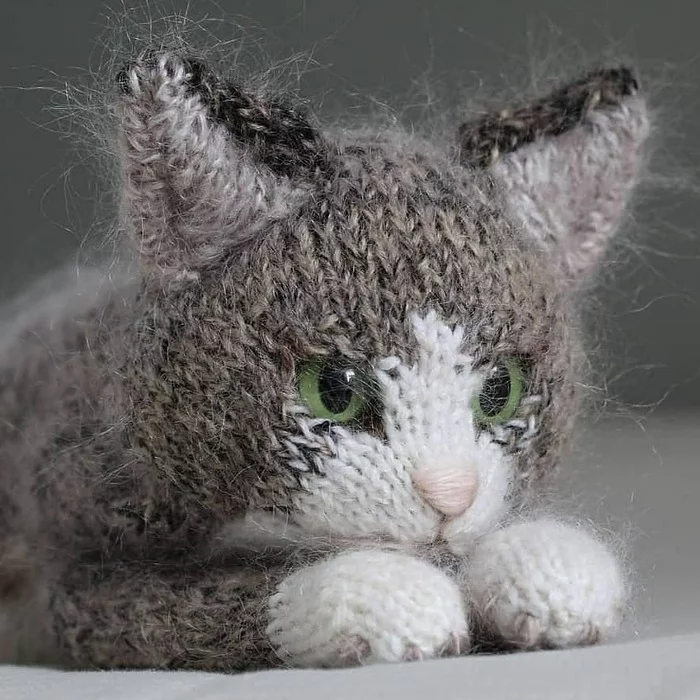 Warm cats - cat, Knitting, Knitting, Needlework, Knitted toys, Longpost, Needlework without process