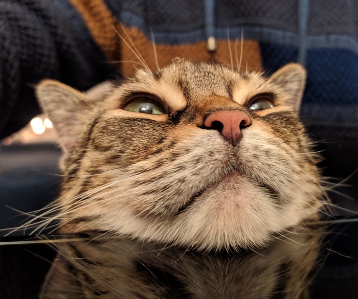       , 