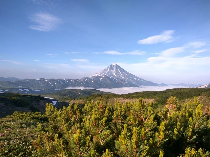 Kamchatka 2018. Day 8. Jurassic Park - My, Travels, Kamchatka, The mountains, Volcano, Burned out, Hike, Tracking, The Bears, Adventures, Mat, Longpost, Mutnovsky Volcano, Dangerous, Canyon, Geyser, The hot springs