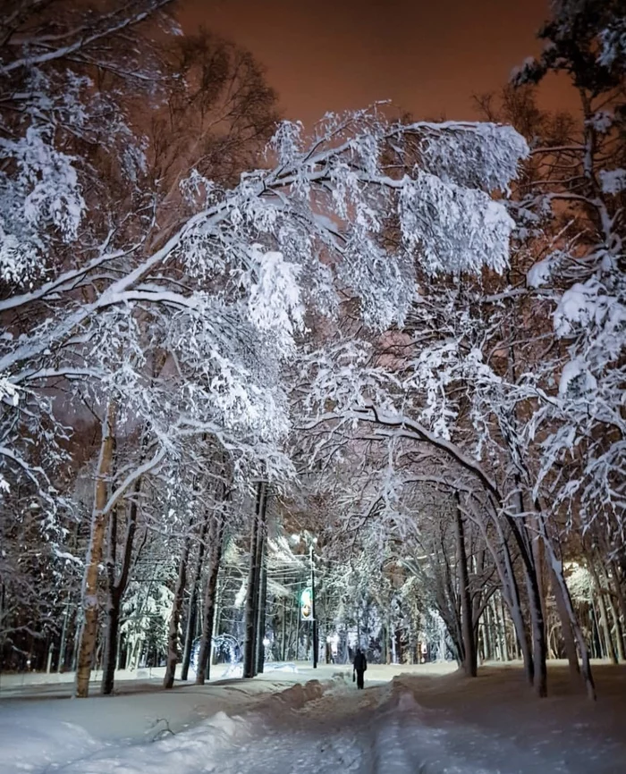 After the snowfall on Sakhalin - Snowfall, Yuzhno-Sakhalinsk, Sakhalin, Sakhalin Region, The park, Winter, Blizzard, Longpost, The photo