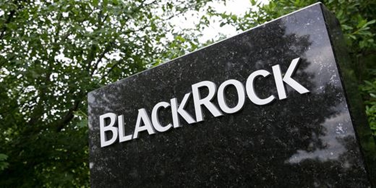 Blackrock активы. Blackrock компания. Инвестиционные компании Blackrock. Blackrock логотип.