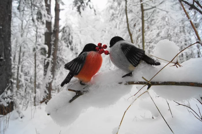 Felt bullfinches in gift packaging - 