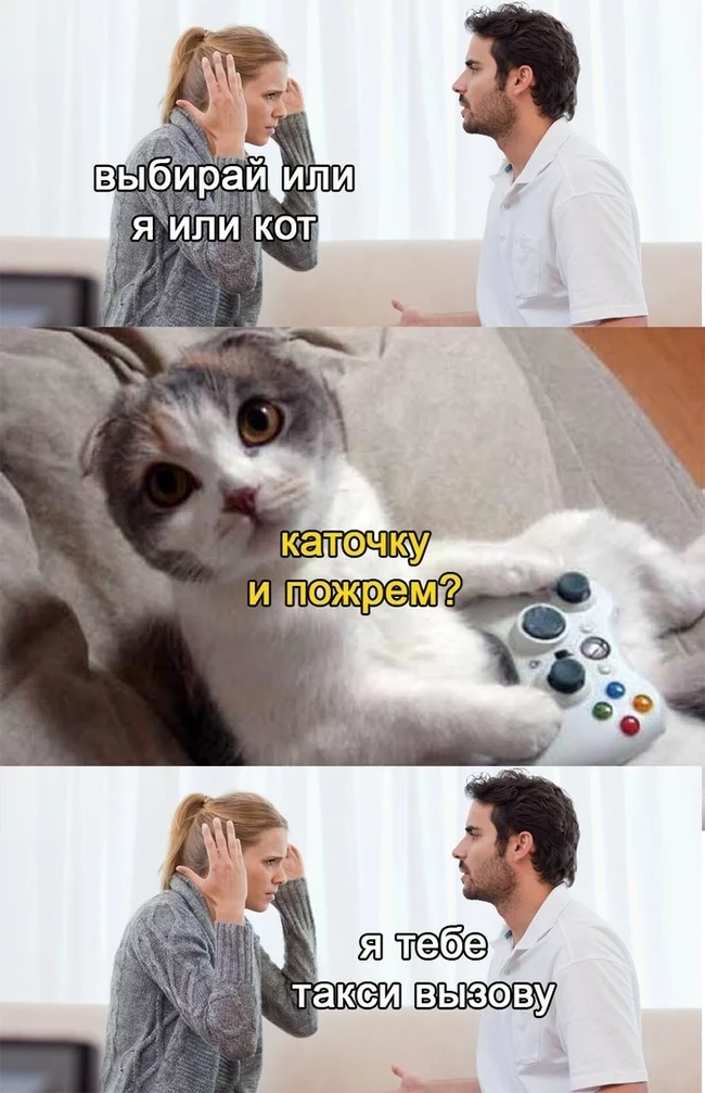 Голосую за кота! - Кот, Картинка с текстом, Геймеры